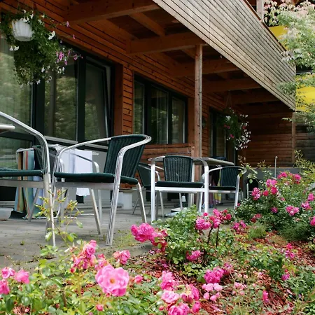 Διαμέρισμα Wildbachhof 16 By Interhome Τσελ αμ Ζέε
